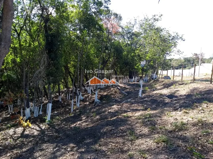 Chácara à venda em Centro, Esmeraldas - MG - imagem 12 Foto 12 de Chácara à venda em Centro, Esmeraldas - MG