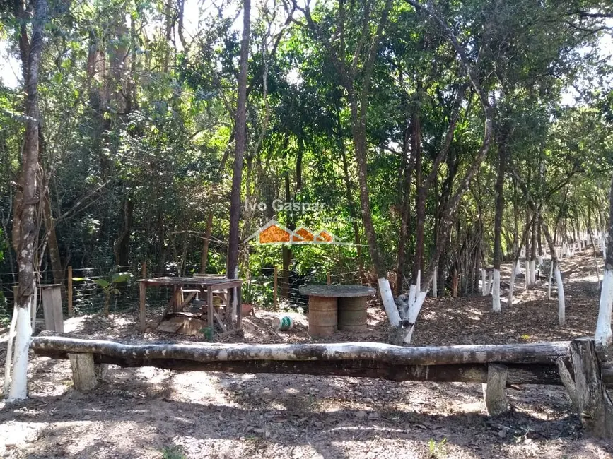 Chácara à venda em Centro, Esmeraldas - MG - imagem 18 Foto 18 de Chácara à venda em Centro, Esmeraldas - MG