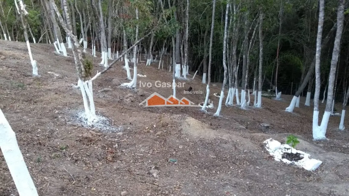 Chácara à venda em Centro, Esmeraldas - MG - imagem 10 Foto 10 de Chácara à venda em Centro, Esmeraldas - MG