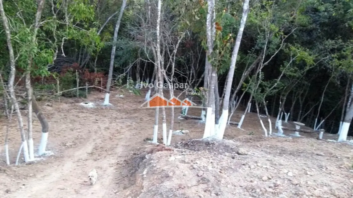 Chácara à venda em Centro, Esmeraldas - MG - imagem 11 Foto 11 de Chácara à venda em Centro, Esmeraldas - MG