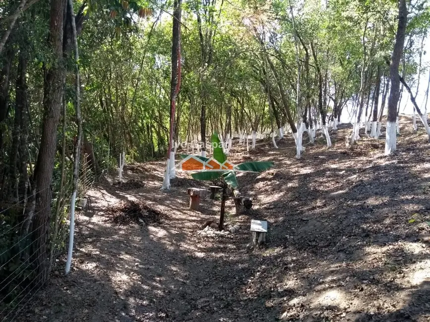 Chácara à venda em Centro, Esmeraldas - MG - imagem 25 Foto 25 de Chácara à venda em Centro, Esmeraldas - MG