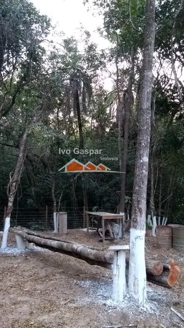 Chácara à venda em Centro, Esmeraldas - MG - imagem 22 Foto 22 de Chácara à venda em Centro, Esmeraldas - MG