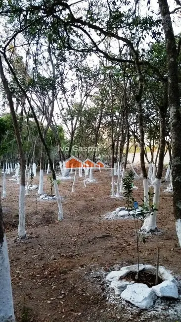 Chácara à venda em Centro, Esmeraldas - MG - imagem 15 Foto 15 de Chácara à venda em Centro, Esmeraldas - MG