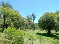 Imagem 22