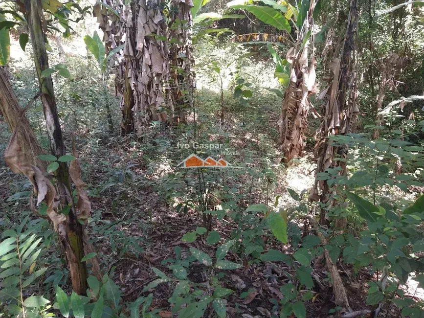 Foto 2 de Sítio / Rancho com 2 quartos à venda, 2500m2 em Esmeraldas - MG