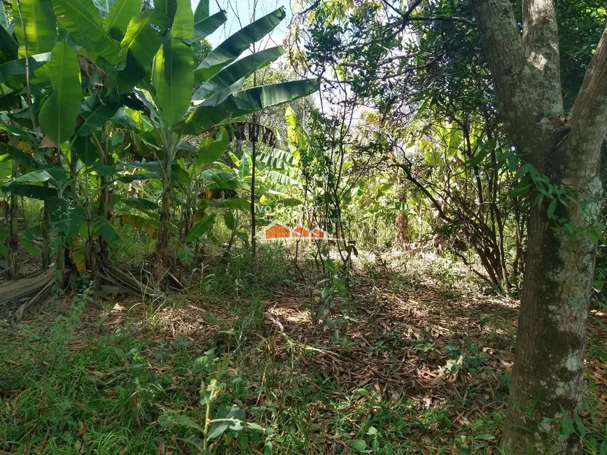 Sítio / Rancho com 2 quartos à venda, 2500m2 em Esmeraldas - MG - imagem 8 Foto 8 de Sítio / Rancho com 2 quartos à venda, 2500m2 em Esmeraldas - MG
