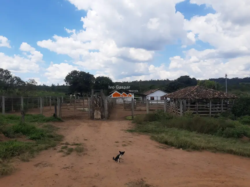 Foto 2 de Fazenda / Haras à venda, 1550000m2 em Irmãos Auler, Itauna - MG