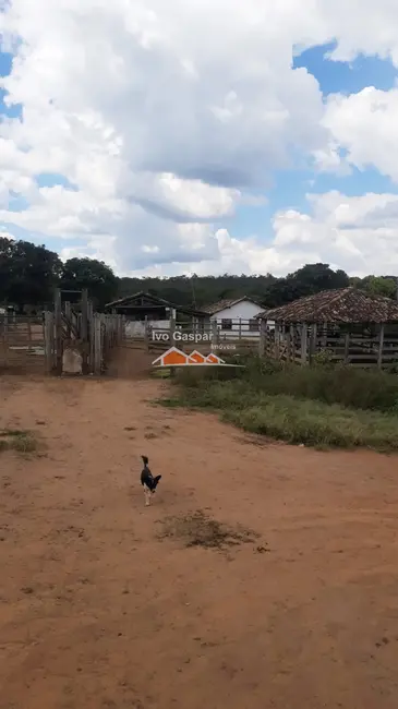 Foto 9 de Fazenda / Haras à venda, 1550000m2 em Irmãos Auler, Itauna - MG