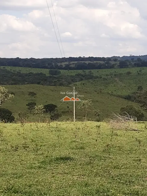 Foto 5 de Fazenda / Haras à venda, 1550000m2 em Irmãos Auler, Itauna - MG