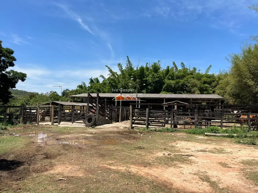 Foto 5 de Fazenda / Haras à venda, 1460000m2 em Irmãos Auler, Itauna - MG