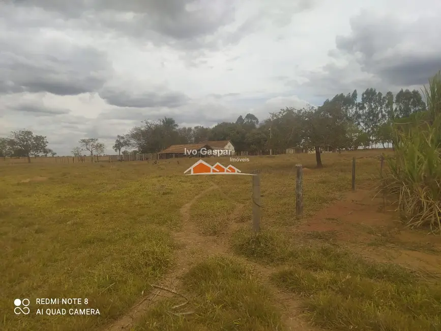 Foto 2 de Fazenda / Haras à venda, 16777215m2 em Leandro Ferreira - MG