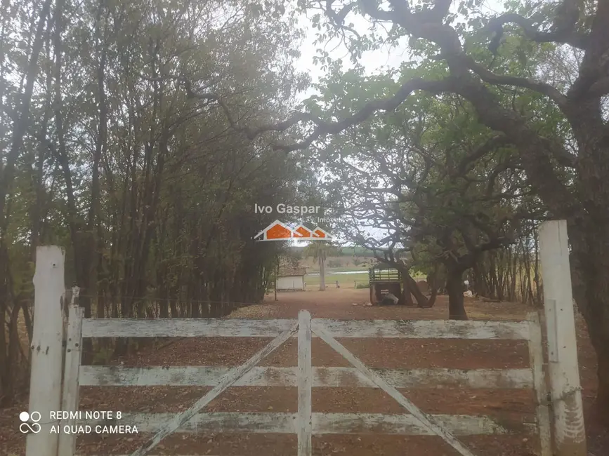 Foto 3 de Fazenda / Haras à venda, 16777215m2 em Leandro Ferreira - MG