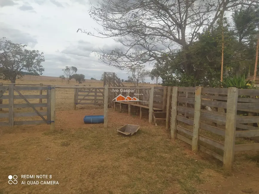 Foto 8 de Fazenda / Haras à venda, 16777215m2 em Leandro Ferreira - MG
