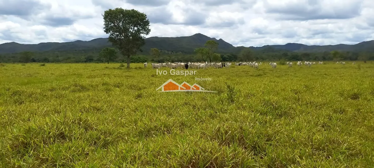 Foto 4 de Fazenda / Haras à venda em Diamantina - MG