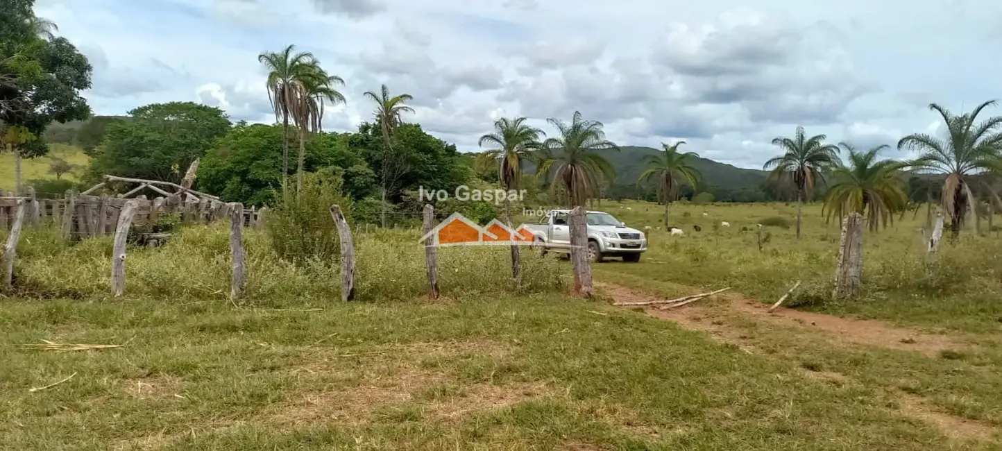Foto 15 de Fazenda / Haras à venda em Diamantina - MG
