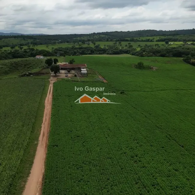 Foto 8 de Fazenda / Haras à venda, 175000m2 em Bom Despacho - MG