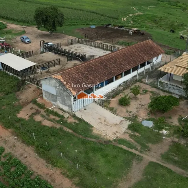 Foto 6 de Fazenda / Haras à venda, 175000m2 em Bom Despacho - MG