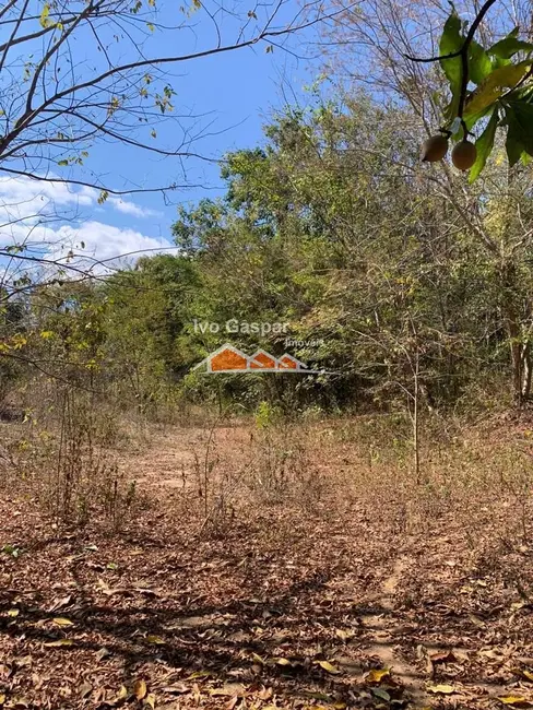 Foto 8 de Fazenda / Haras à venda, 500000m2 em Lassance - MG
