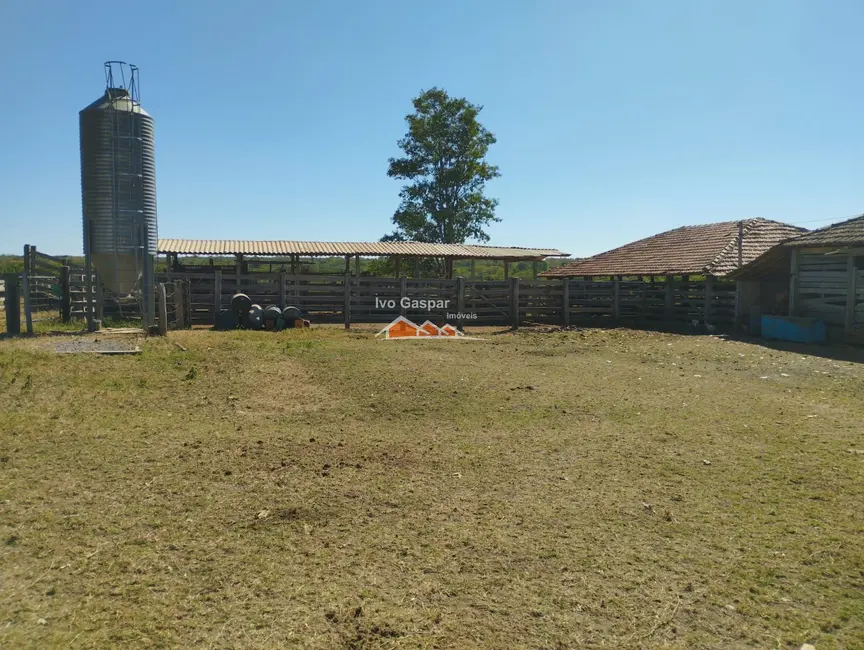 Foto 5 de Fazenda / Haras à venda, 375000m2 em Joao Pinheiro - MG