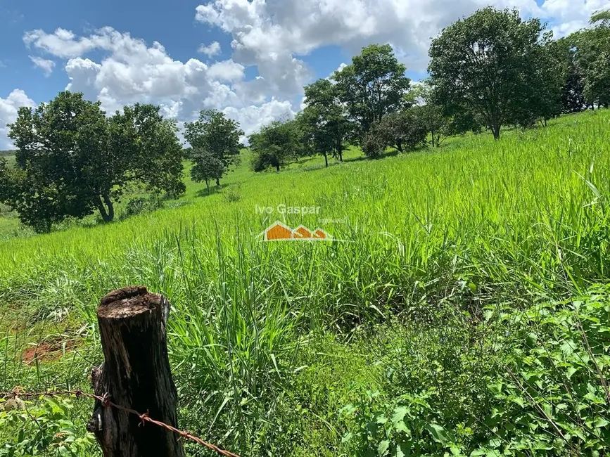 Foto 8 de Fazenda / Haras com 2 quartos à venda, 17000m2 em Centro, Curvelo - MG