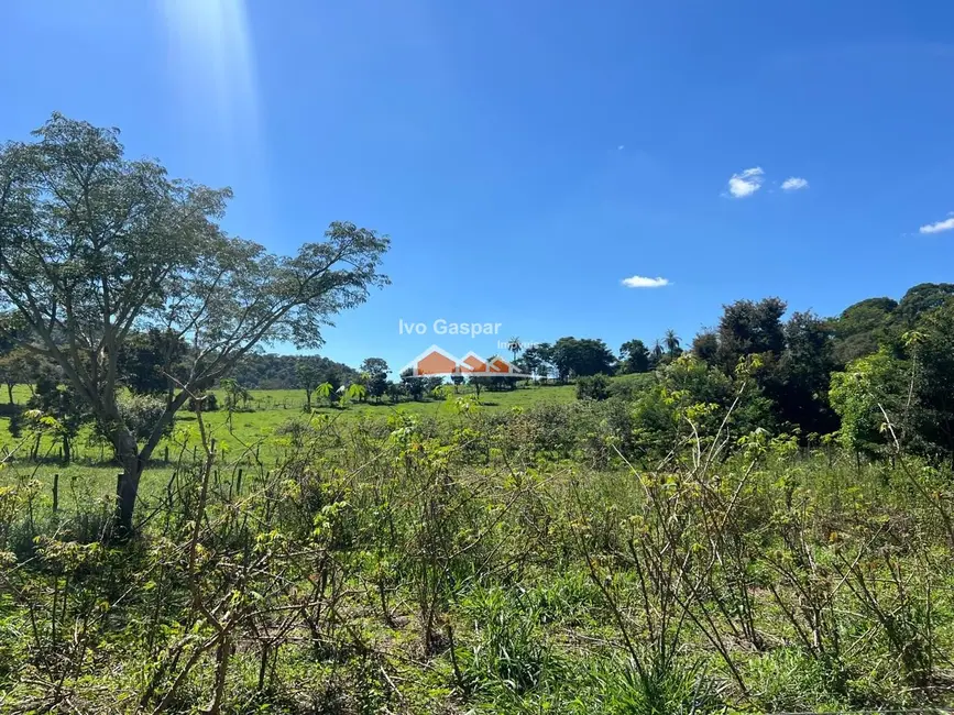 Foto 23 de Fazenda / Haras com 5 quartos à venda, 300m2 em Esmeraldas - MG