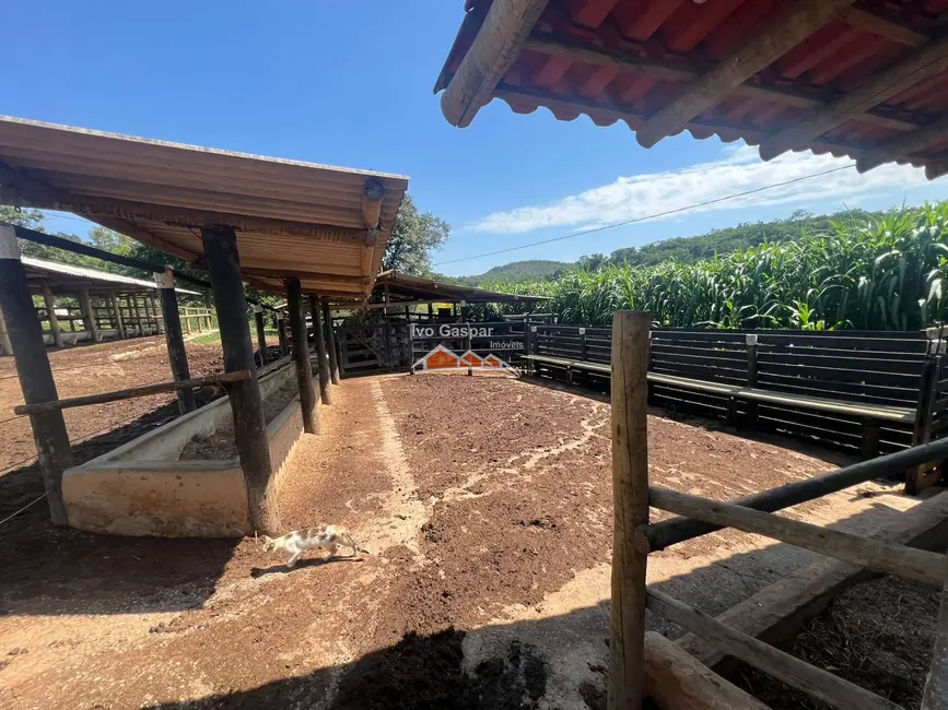 Foto 9 de Fazenda / Haras à venda, 200000m2 em Esmeraldas - MG