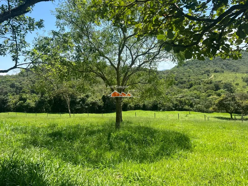 Foto 4 de Fazenda / Haras à venda, 200000m2 em Esmeraldas - MG