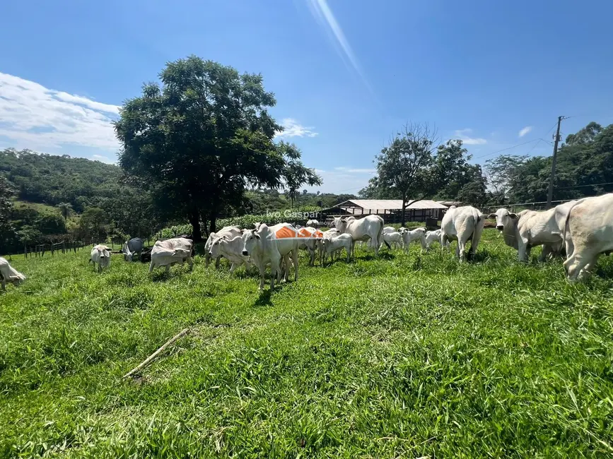 Foto 6 de Fazenda / Haras à venda, 200000m2 em Esmeraldas - MG