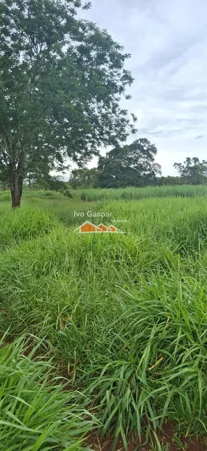 Foto 12 de Fazenda / Haras à venda em Esmeraldas - MG