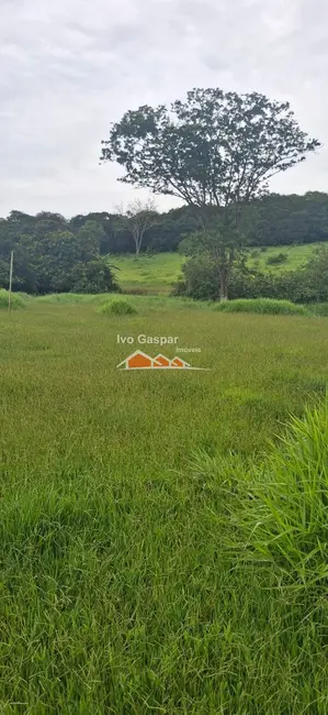 Foto 13 de Fazenda / Haras à venda em Esmeraldas - MG