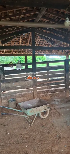 Foto 7 de Fazenda / Haras à venda em Esmeraldas - MG