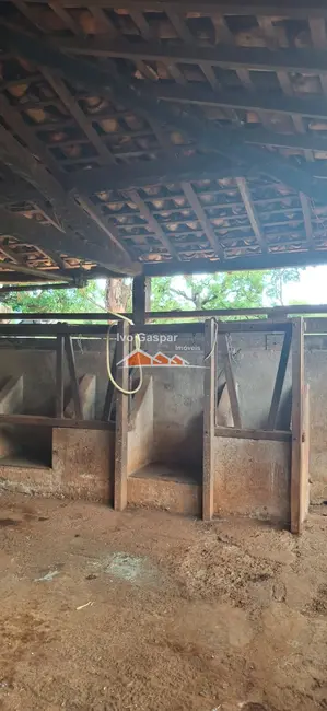 Foto 11 de Fazenda / Haras à venda em Esmeraldas - MG