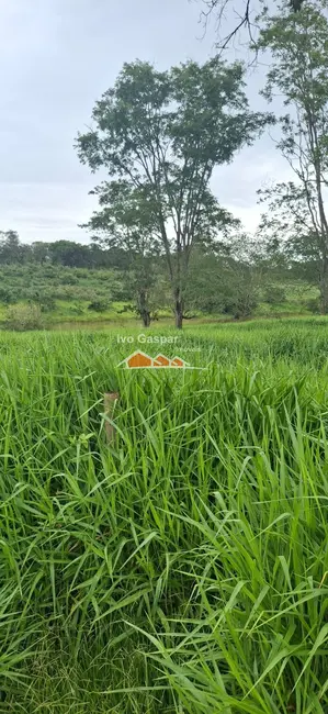 Foto 4 de Fazenda / Haras à venda em Esmeraldas - MG