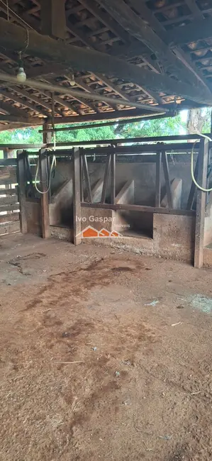 Foto 3 de Fazenda / Haras à venda em Esmeraldas - MG