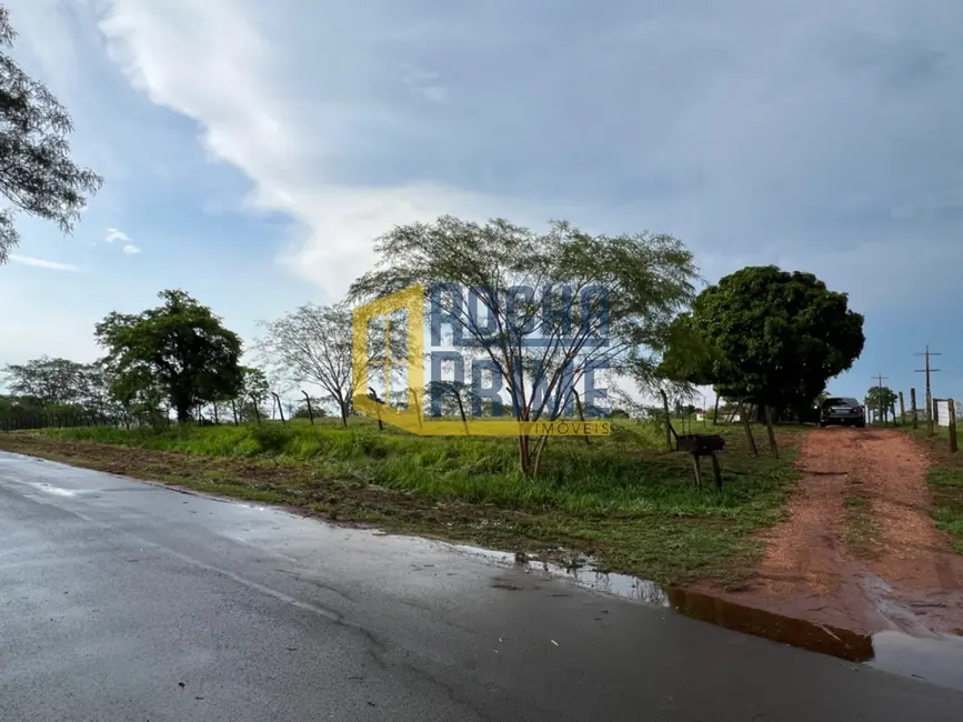 Foto 2 de Chácara com 2 quartos à venda em Ilha Solteira - SP