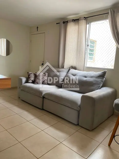 Foto 2 de Apartamento com 2 quartos à venda, 42m2 em Recreio São Judas Tadeu, Sao Carlos - SP