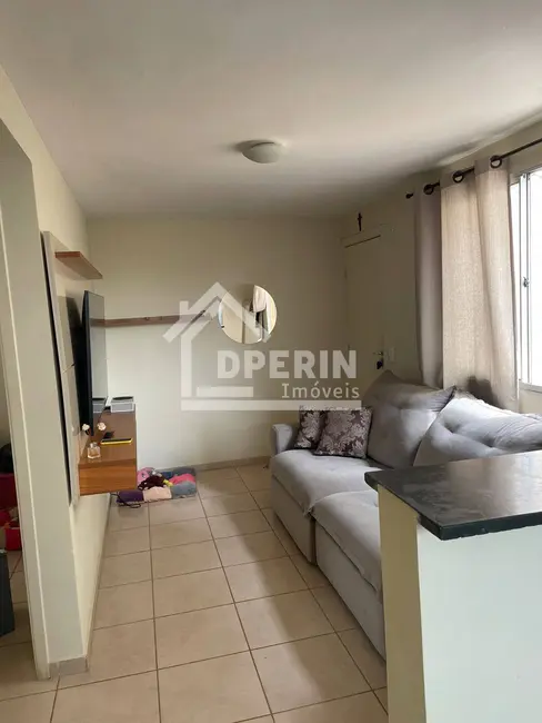 Foto 1 de Apartamento com 2 quartos à venda, 42m2 em Recreio São Judas Tadeu, Sao Carlos - SP