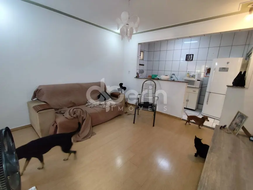 Foto 2 de Casa com 2 quartos à venda, 130m2 em Planalto Paraíso, Sao Carlos - SP