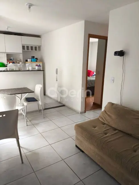 Foto 3 de Apartamento com 2 quartos à venda, 44m2 em Parque Santa Felícia Jardim, Sao Carlos - SP