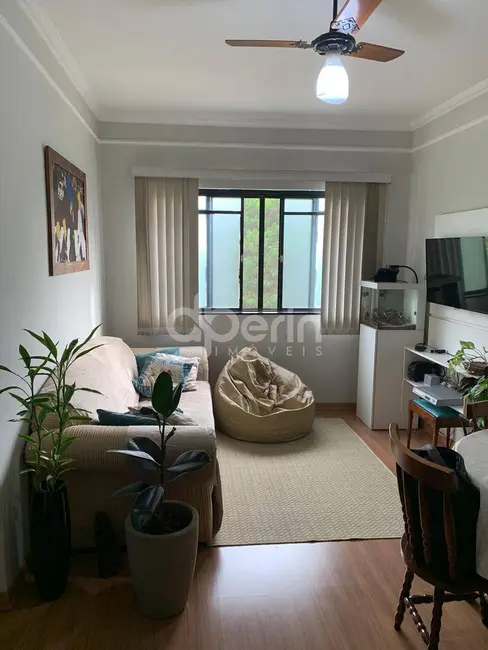 Foto 2 de Apartamento com 2 quartos à venda, 50m2 em Romeu Santini, Sao Carlos - SP