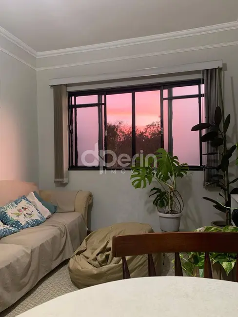 Foto 3 de Apartamento com 2 quartos à venda, 50m2 em Romeu Santini, Sao Carlos - SP