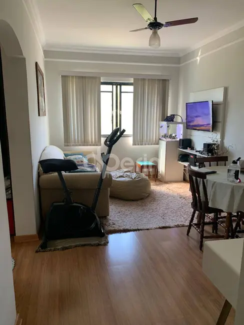 Foto 1 de Apartamento com 2 quartos à venda, 50m2 em Romeu Santini, Sao Carlos - SP