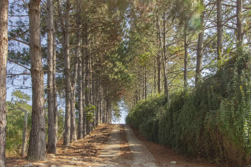 Foto 1 de Fazenda / Haras com 4 quartos à venda, 72600m2 em Centro, Aracariguama - SP