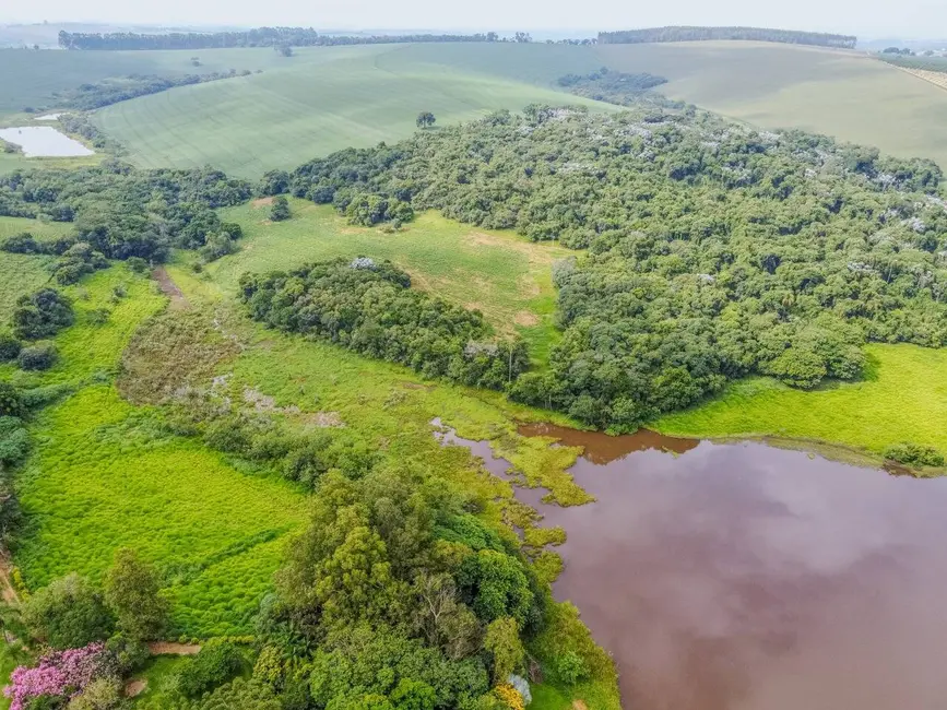 Foto 4 de Fazenda / Haras com 5 quartos à venda, 459800m2 em Campo Novo, Braganca Paulista - SP