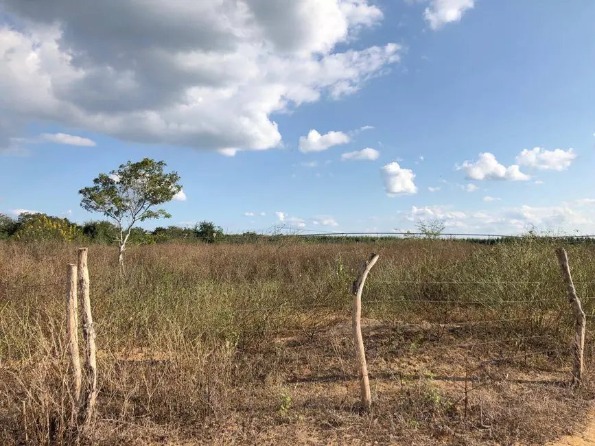 Foto 4 de Fazenda / Haras à venda, 1000m2 em Centro, Sao Francisco - MG