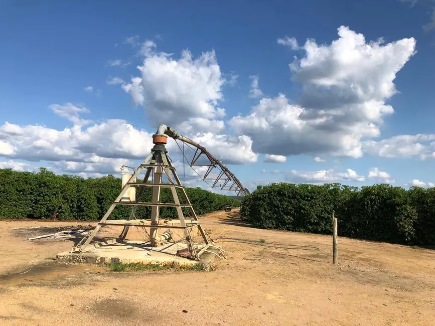 Foto 5 de Fazenda / Haras à venda, 1000m2 em Centro, Sao Francisco - MG