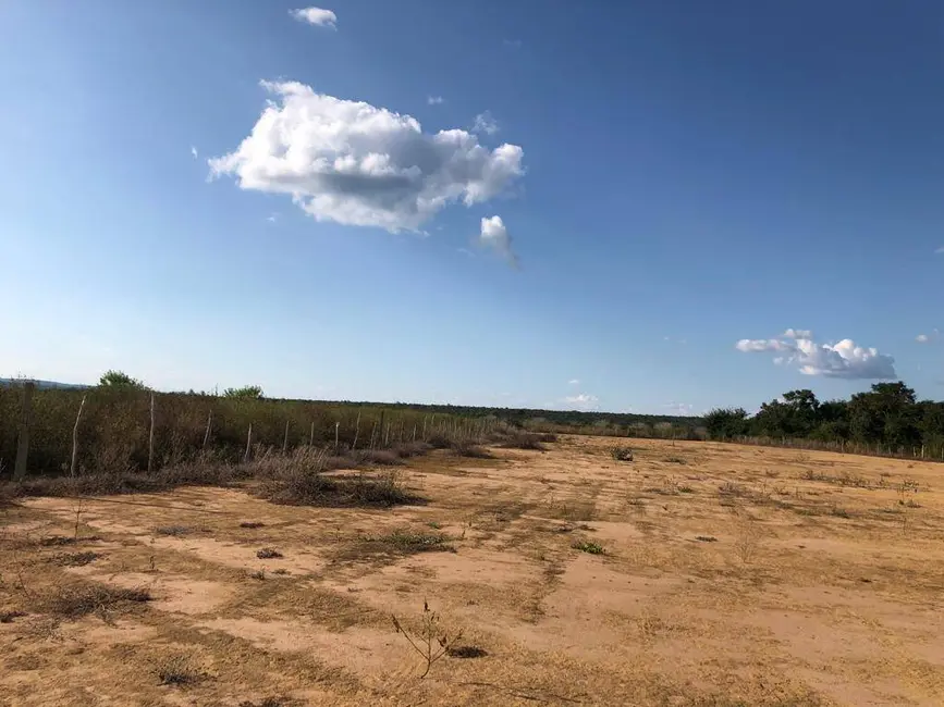 Foto 3 de Fazenda / Haras à venda, 1000m2 em Centro, Sao Francisco - MG