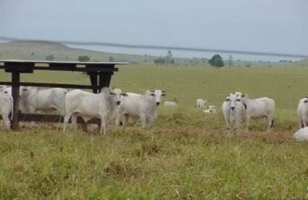 Foto 6 de Chácara à venda, 103000m2 em Centro, Acorizal - MT
