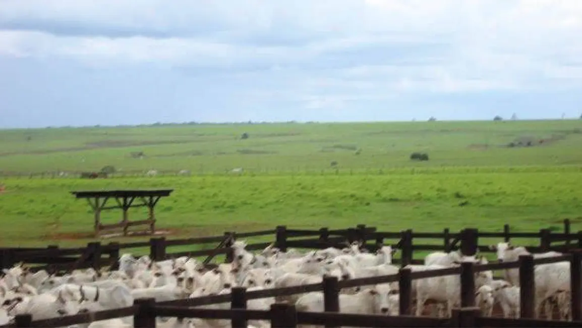 Foto 7 de Chácara à venda, 103000m2 em Centro, Acorizal - MT