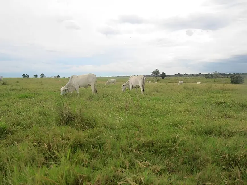 Foto 7 de Fazenda / Haras à venda, 2541m2 em Centro, Pontes E Lacerda - MT